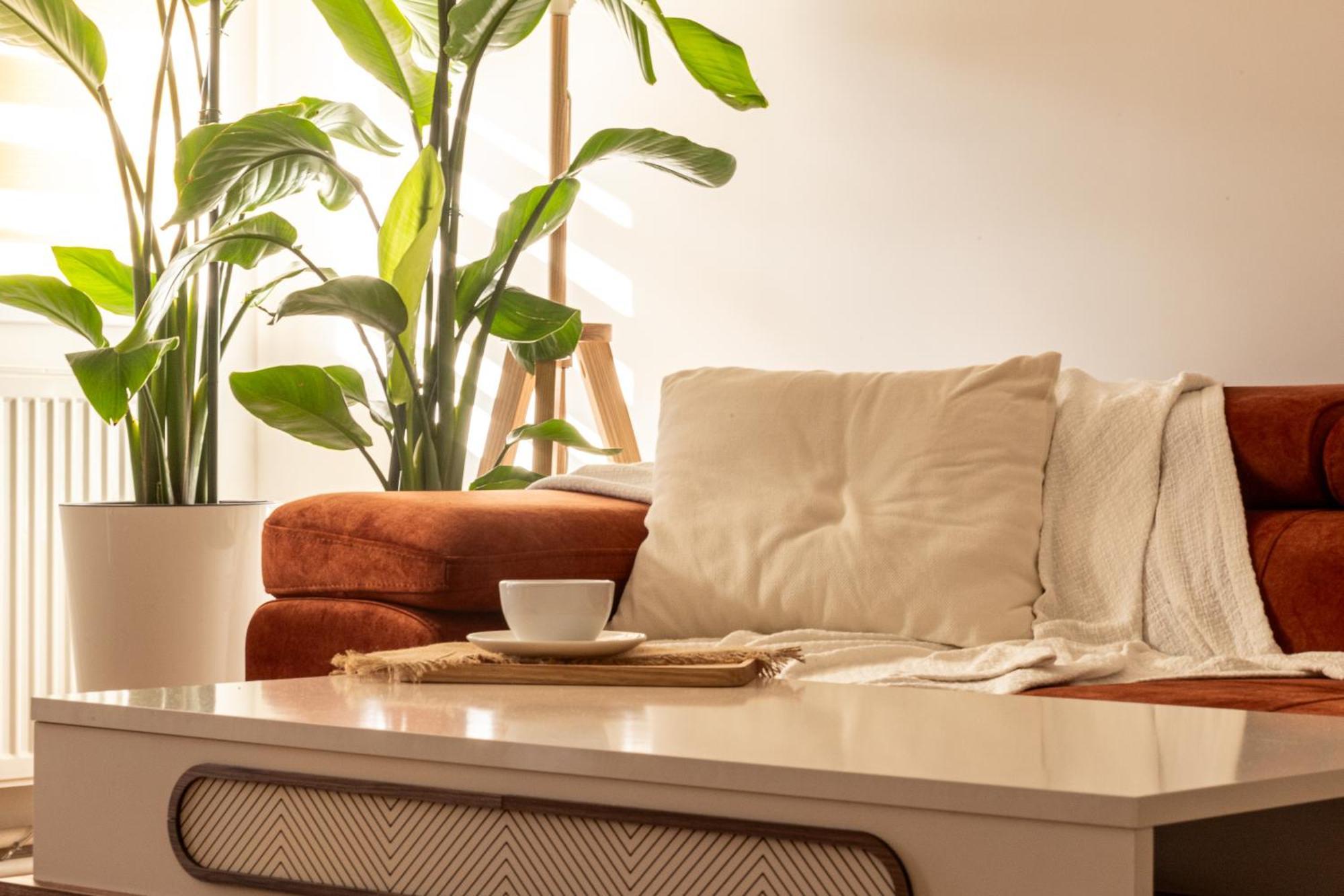 Bleyer Haus Central Apartment Oradea Ngoại thất bức ảnh