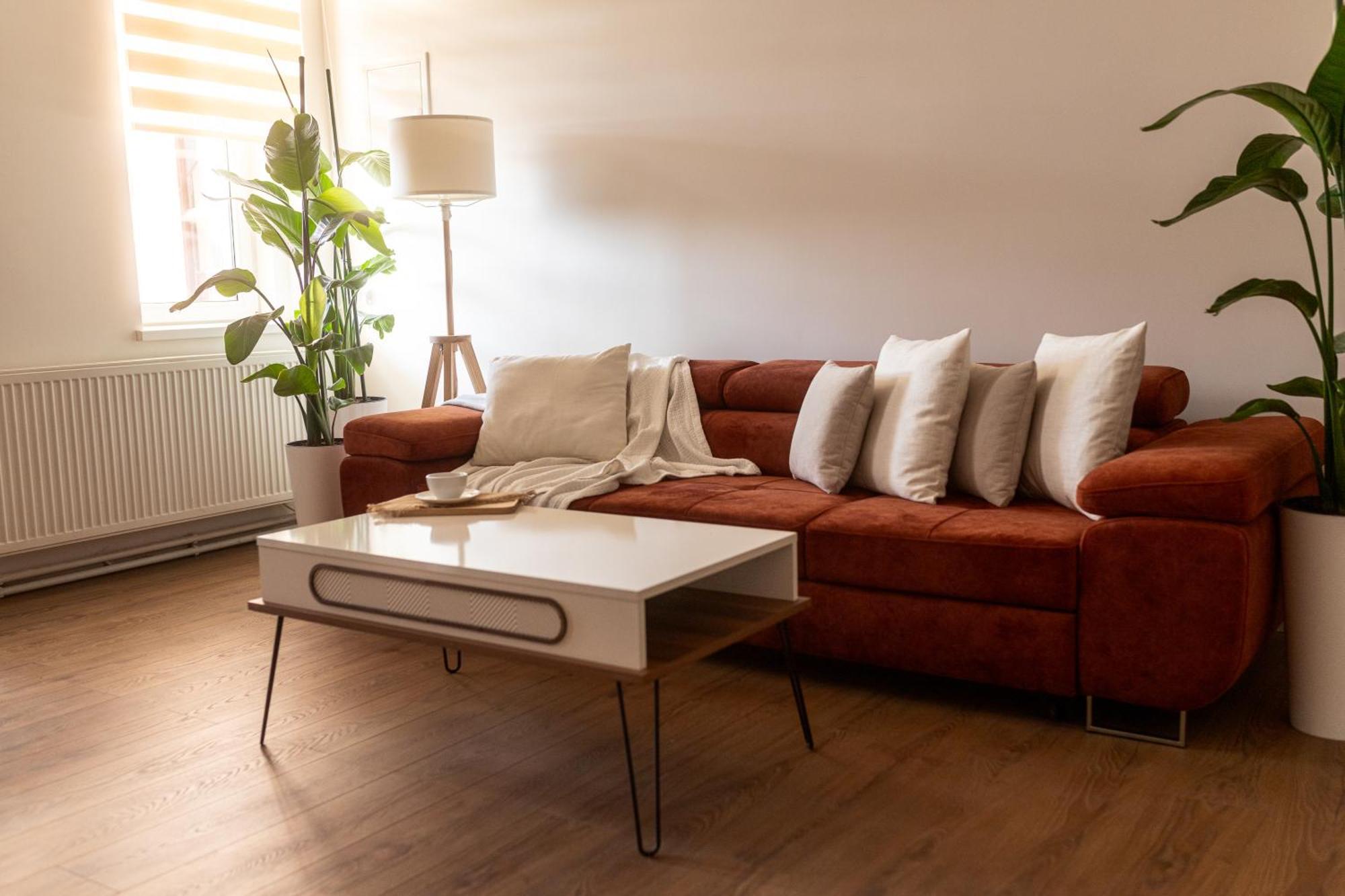 Bleyer Haus Central Apartment Oradea Ngoại thất bức ảnh